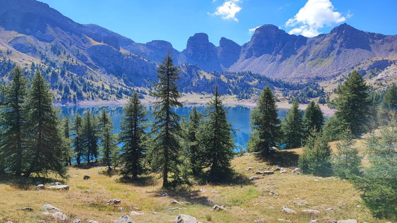 Appartement Vaste A La Foux D'allos, Mercantour *